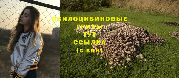 дмт Няндома