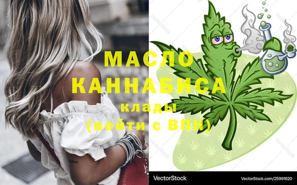 дмт Няндома