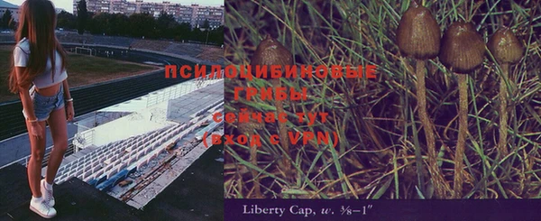 трава Нягань