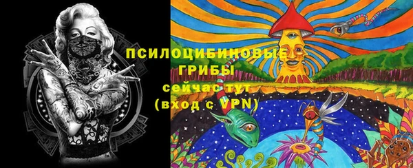 дмт Няндома
