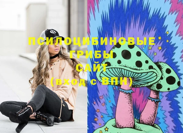 хмурый Нязепетровск