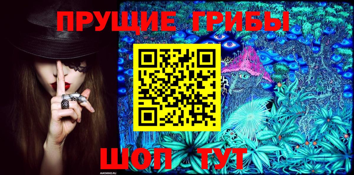 Новомосковск  магазин продажи   Галлюциногенные грибы Psilocybine cubensis  Вход с VPN  Галлюциногенные грибы мицелий 