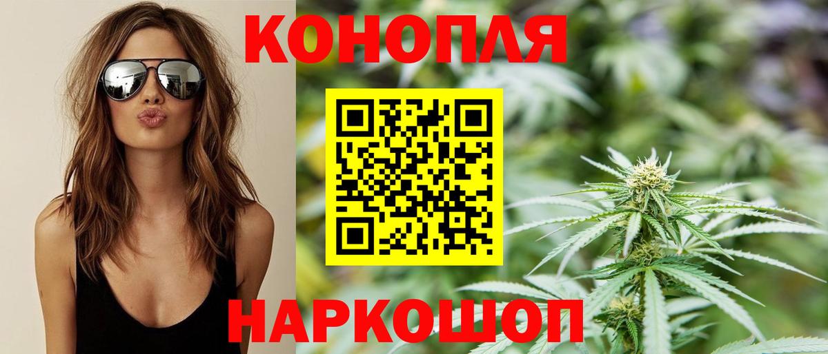 Канабис план  Вход с VPN  Новомосковск  Конопля семена  Шишки марихуана планчик 